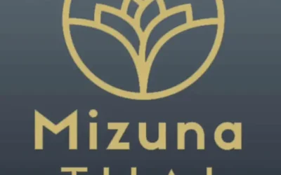 Mizuna Thai Girona: Restaurante en crisis busca redención y transformación en «Pesadilla en la Cocina»